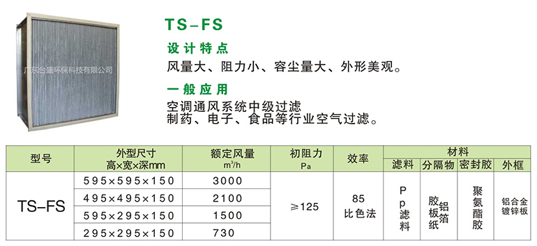 TS-FS