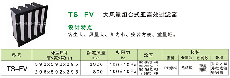 TS-FV